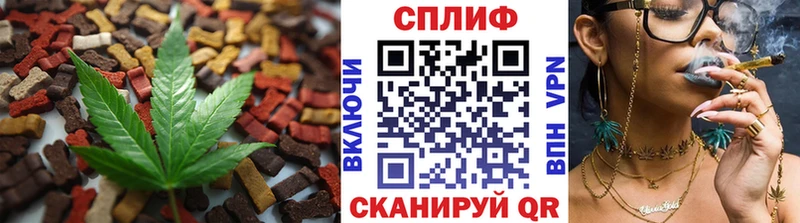 mega как зайти  закладки  Котлас  Еда ТГК конопля 