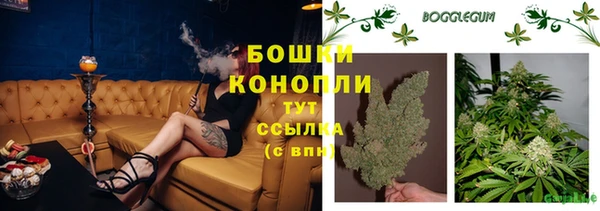 молекула духа Кодинск