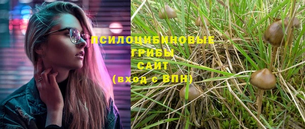 амфетамин Козловка