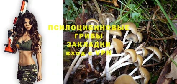 амфетамин Козловка