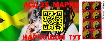 гидропоника Будённовск
