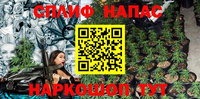 стаф Бузулук