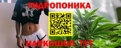 крисы Волгодонск