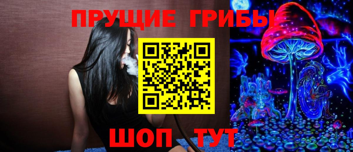 Котлас  Галлюциногенные грибы Psilocybe  Вход с VPN 